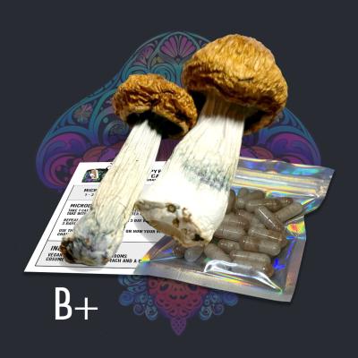 Free Gift with Purchase of Beautiful Self Photo