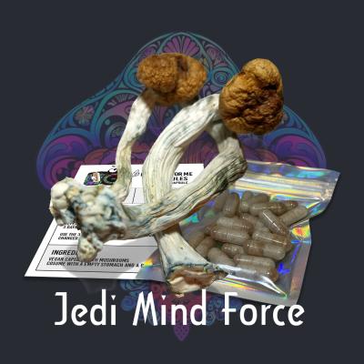 Free Gift with Purchase of Enlightened Self Photo