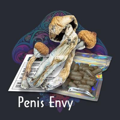 Free Gift with Purchase of Noble Self Photo