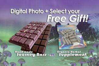 What are the Free Gifts?